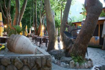 dsc09102.jpg